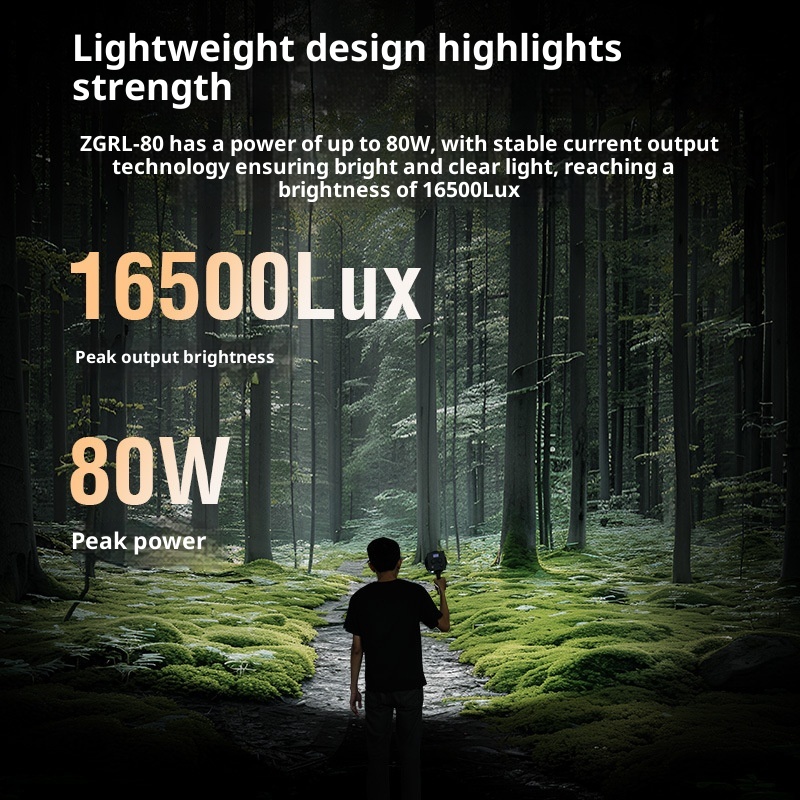 ZGRL80 80W COB Handheld Video  - Outdoor Lighting Video Shooting 评论和价格
