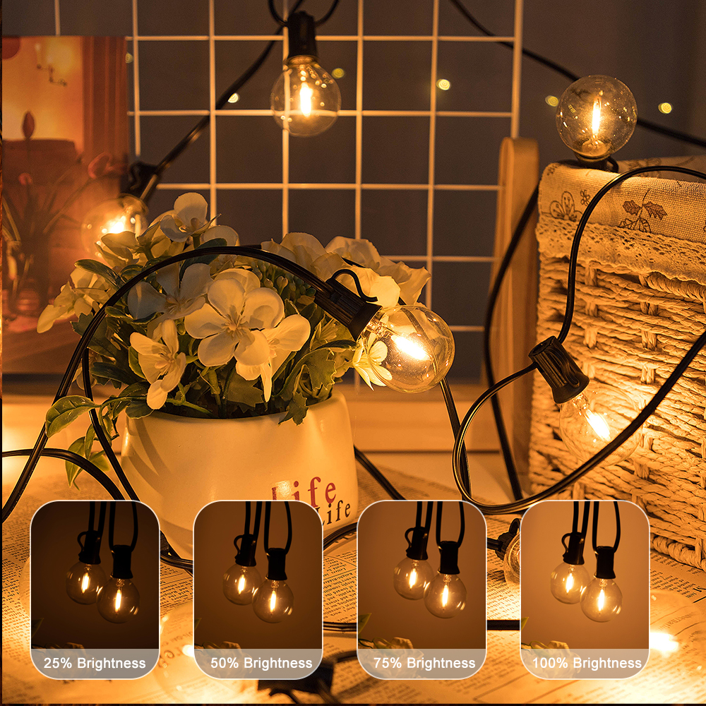 G40 LED Outdoor String Ball Li - Outdoor Lighting Strip 评论和价格