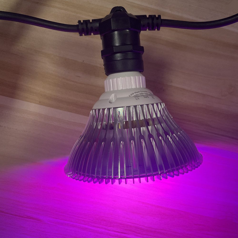 10M Cable LED String Commercia - Outdoor Lighting Strip 评论和价格