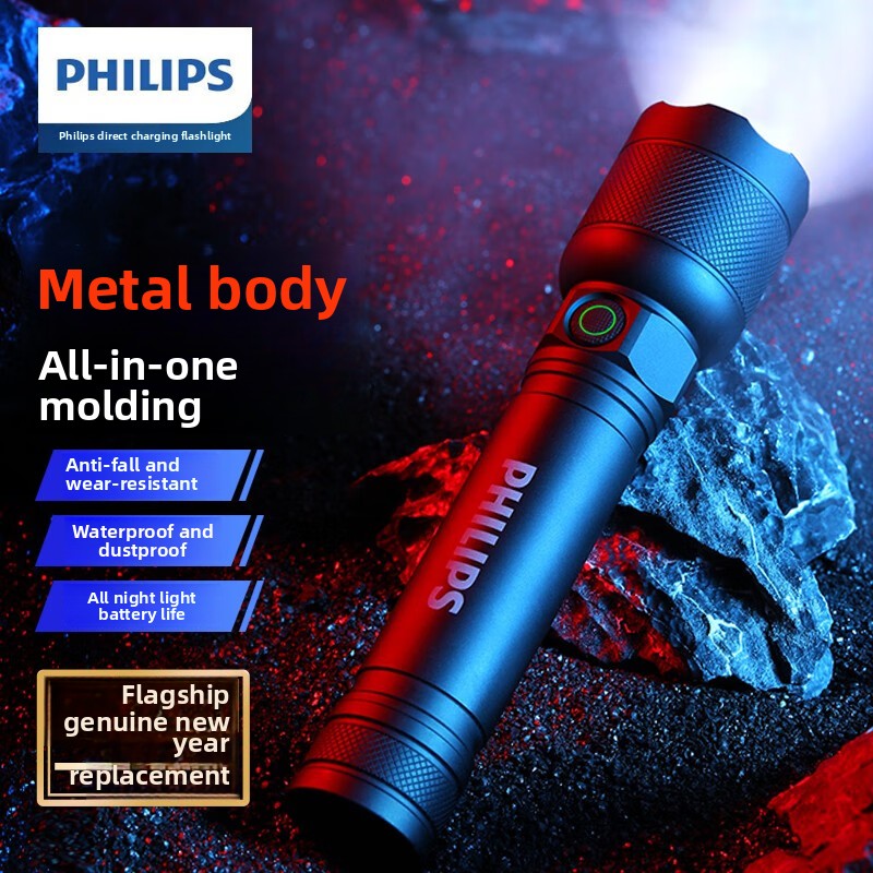 2025 NEW Philips SFL2188 LED A - Outdoor Lighting Setup 评论和价格