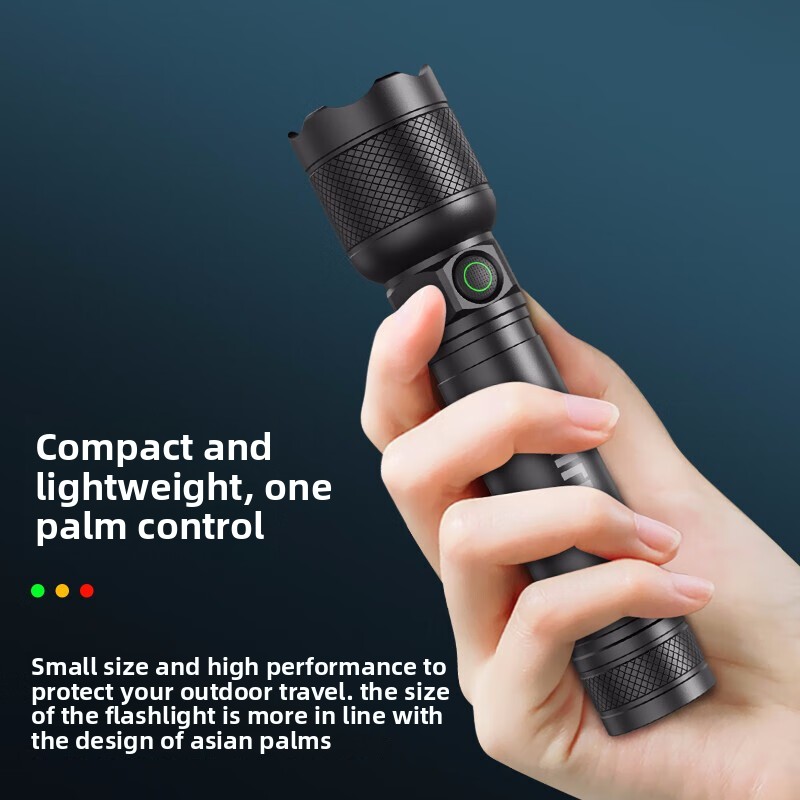 2025 NEW Philips SFL2188 LED A - Outdoor Lighting Setup 评论和价格